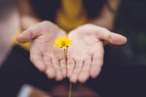 Vergebung offene Hände mit gelber Blume